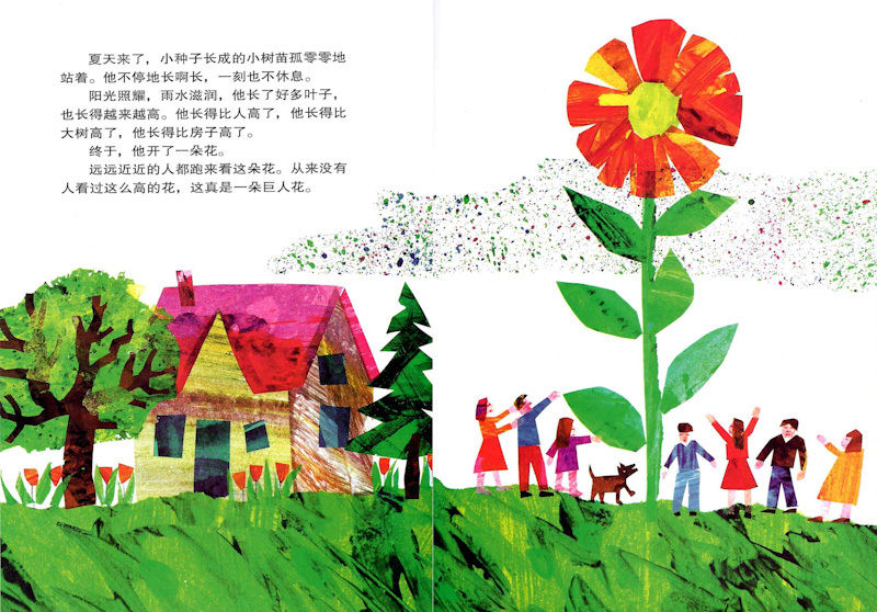 The Tiny Seed 《小种子》