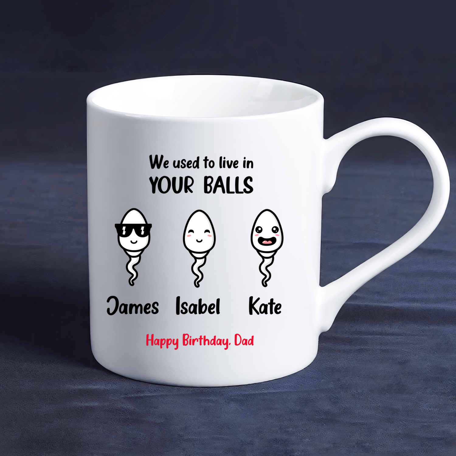 Personalized 1-10 Names Ceramic Mug Custom Text Cup "We Used To Live In Your Balls" Funny Mug Gifts for Dad/Mum