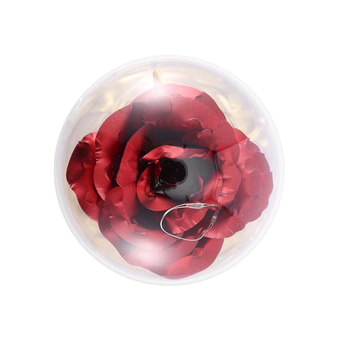 Enchanted Rose Night light Custom Text Eternity Rose LED Lamp Romantic Gift