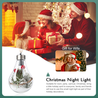 Christmas Bulb Ornament Personalized Bulb Night Light Christmas Home Decor