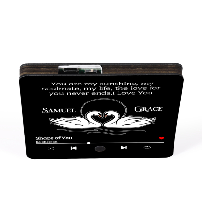 Personalized Fridge Magnet 2 Swans You are My Sunshine Romantic Music Plaque with Customized Names & Song