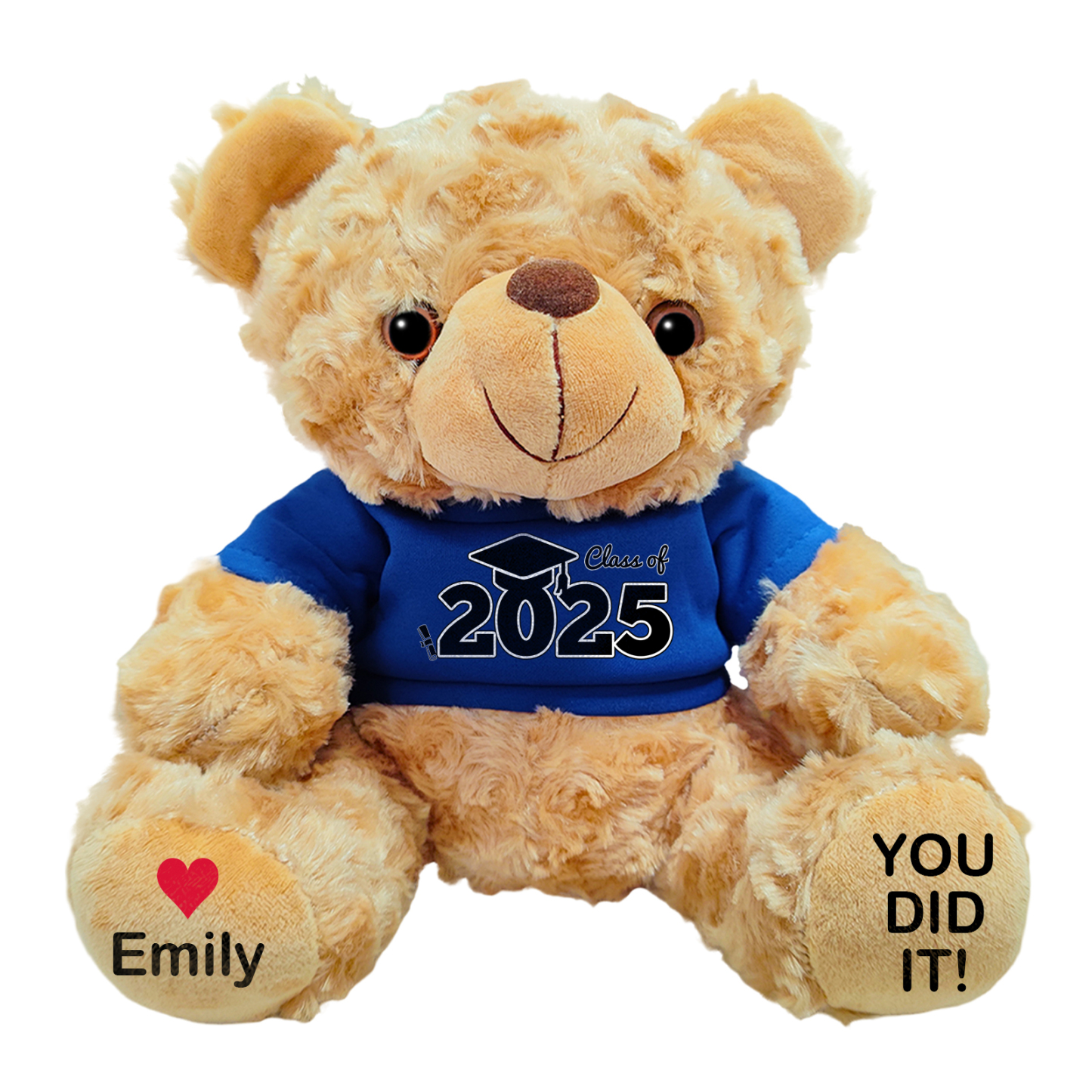 Personalized Graduation Teddy Bear - Custom Gift with Name & Year | Lorajewel