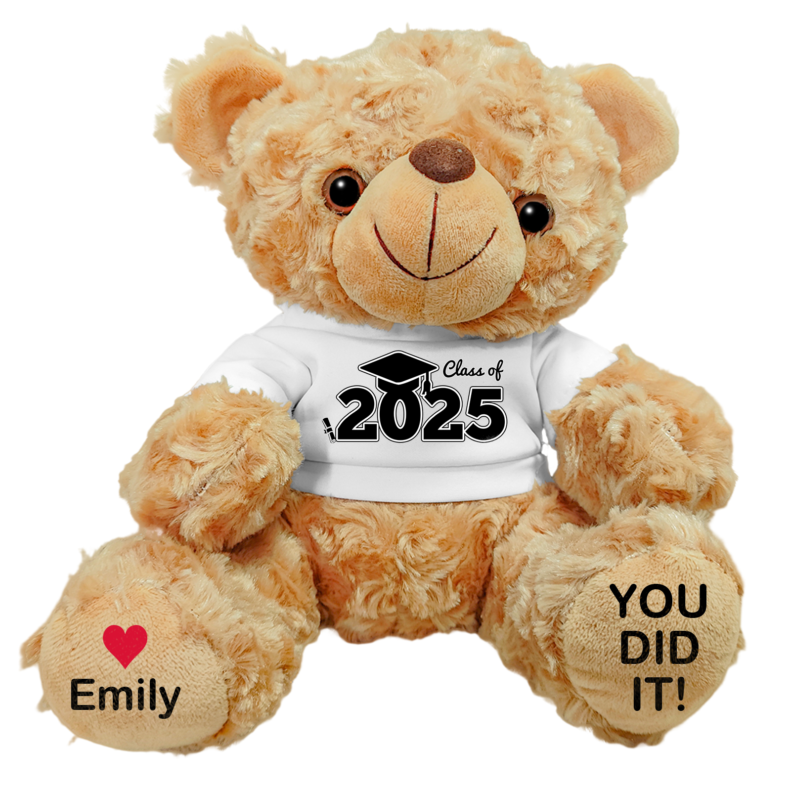 Personalized Graduation Teddy Bear - Custom Gift with Name & Year | Lorajewel
