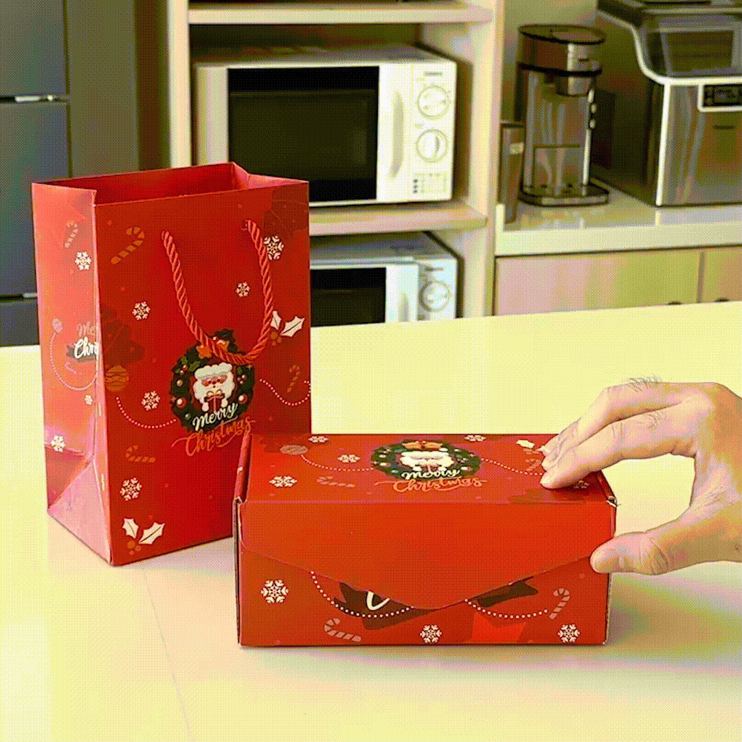 Don't Do Stupid Funny Keychain Surprise Gift Box Set for Son and Daughter