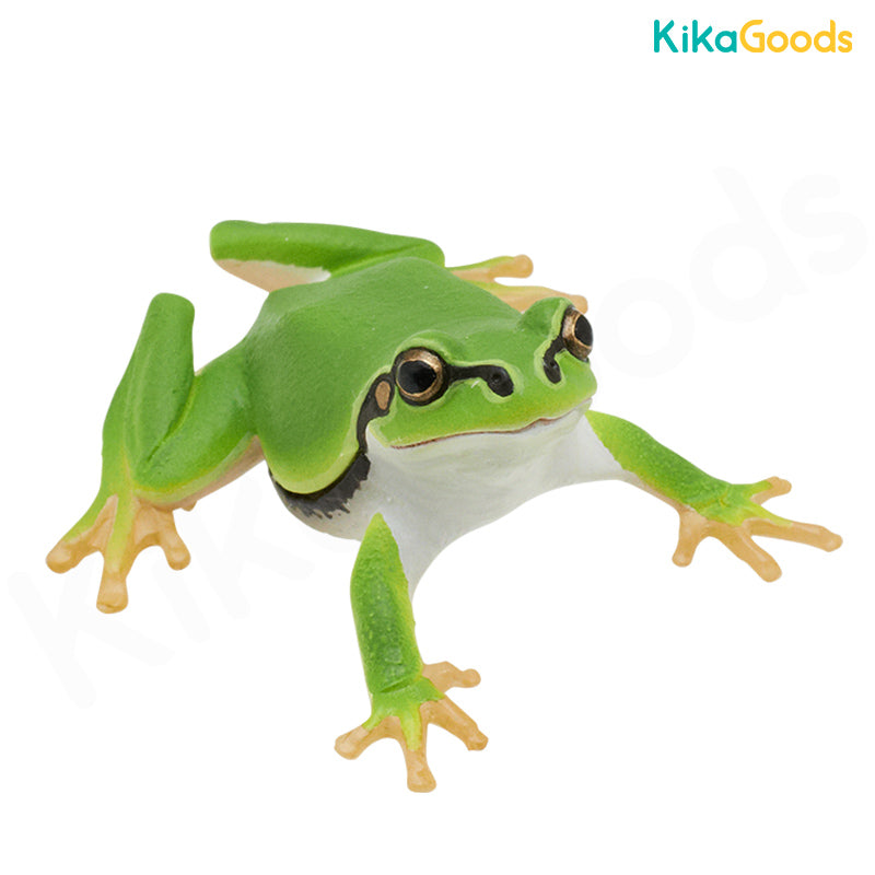 KITAN CLUB Kimon Nature Techni Animal Frog Growth Chapter Gacha
