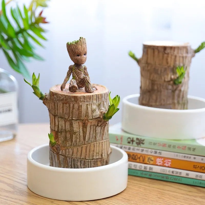 Sky Terrarium&trade; Lucky Wood