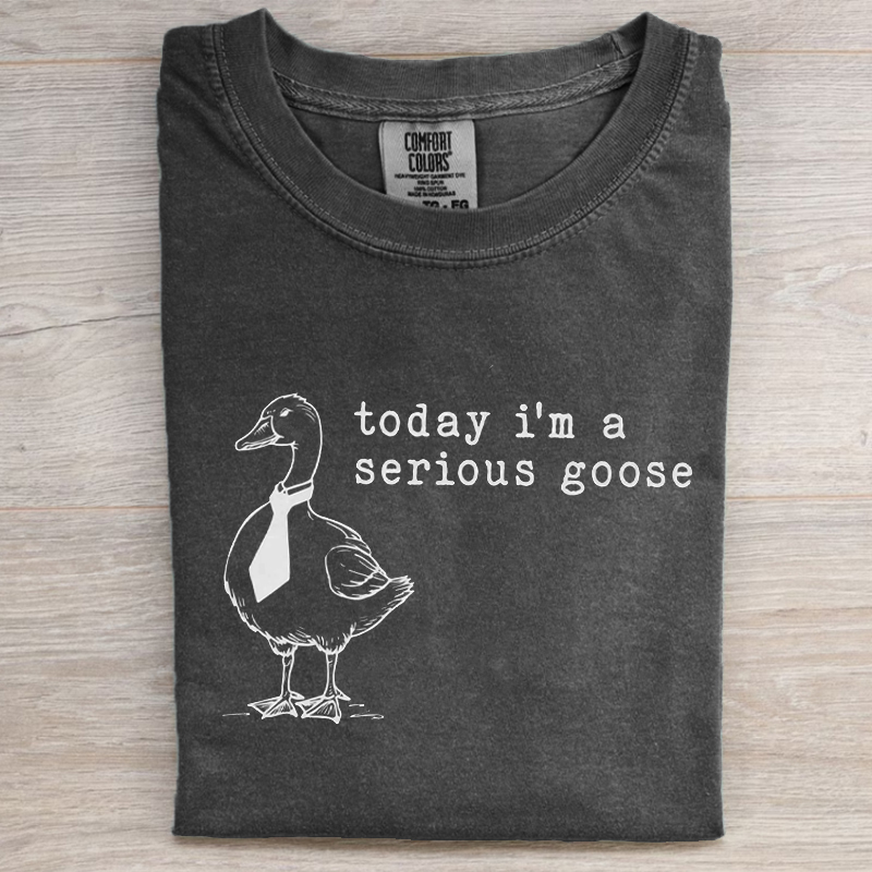  Today I'm a Serious Goose T-Shirt