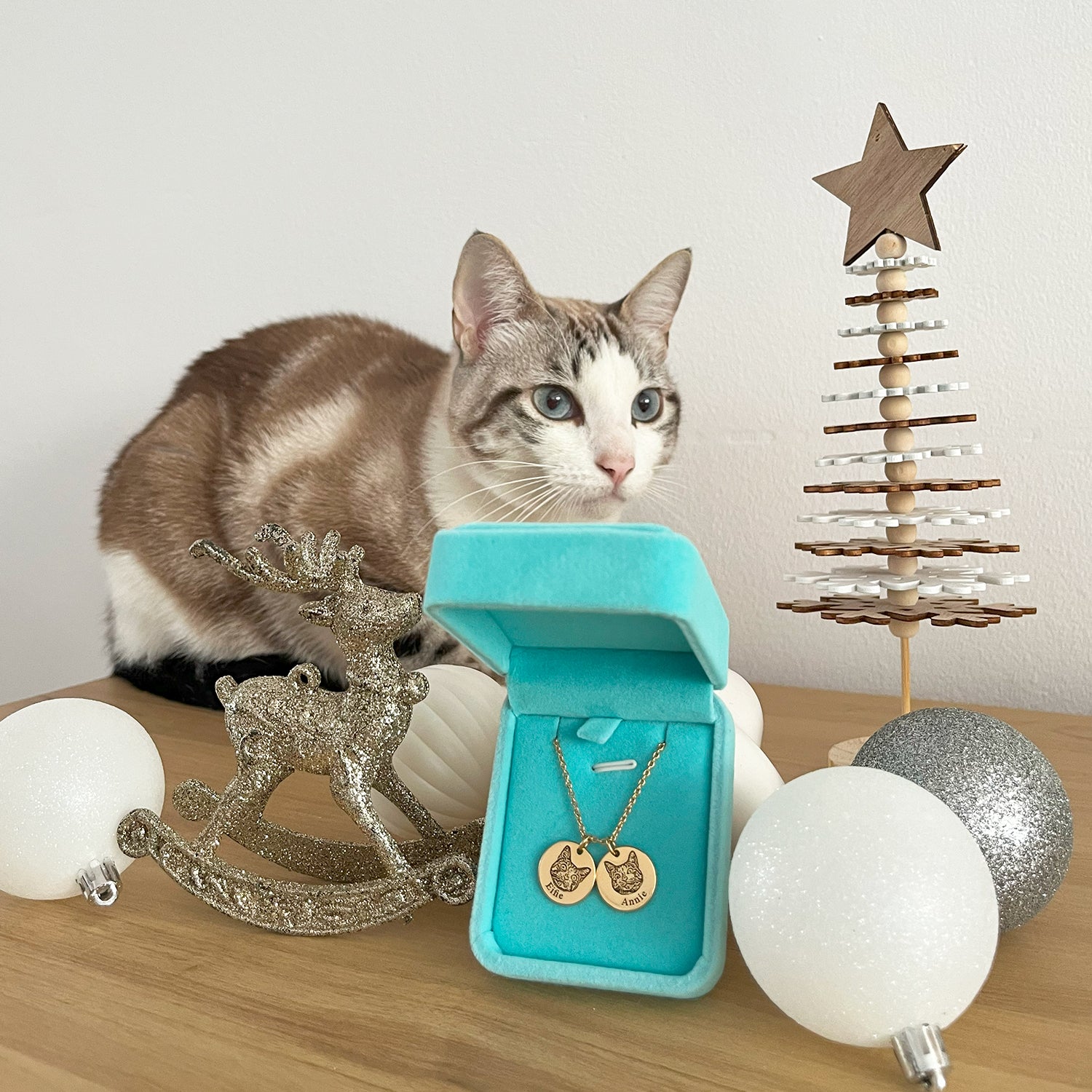 Customized Memorial Gifts💖Pet Face Necklace