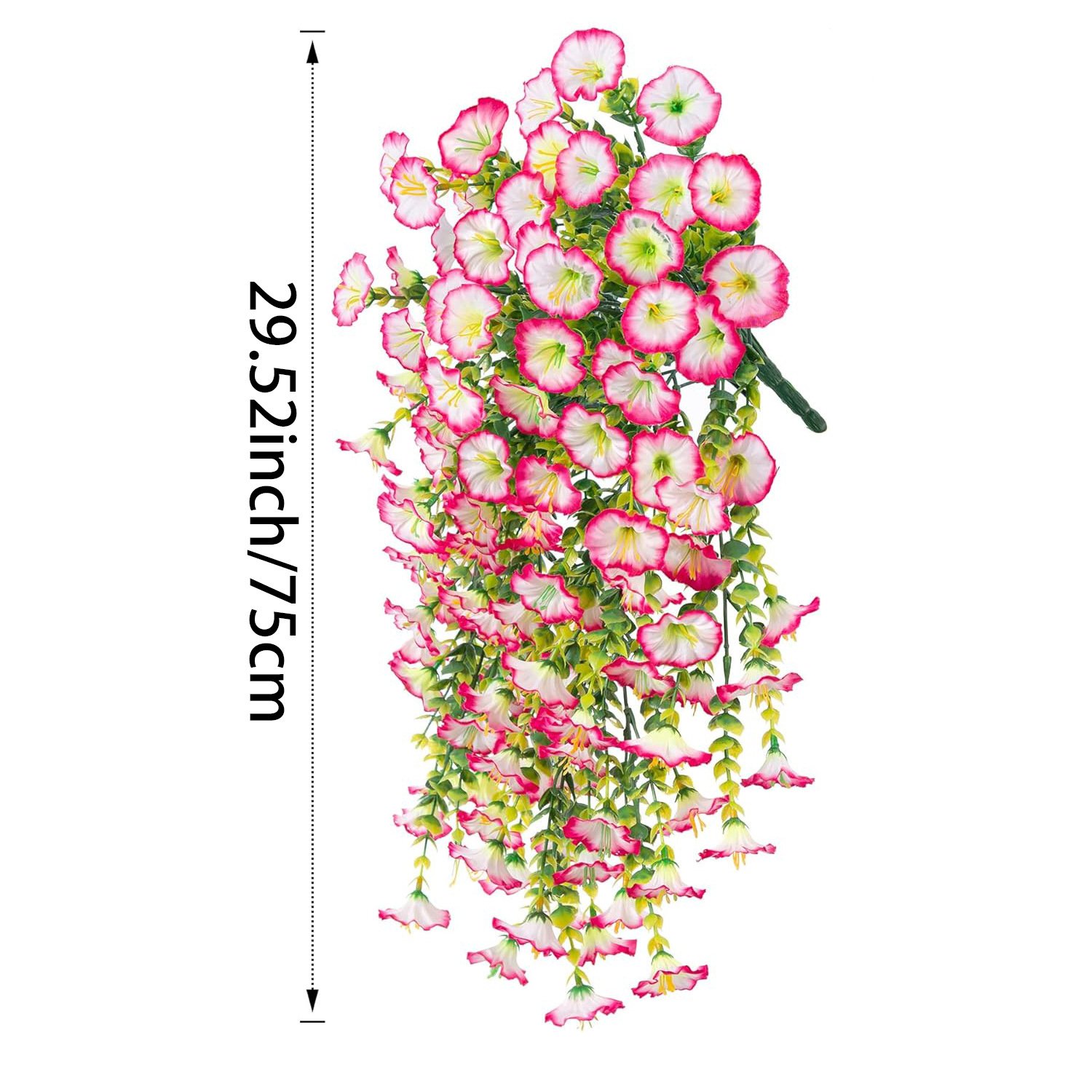 Perfect home garden decoration – 🌺hanging morning glory