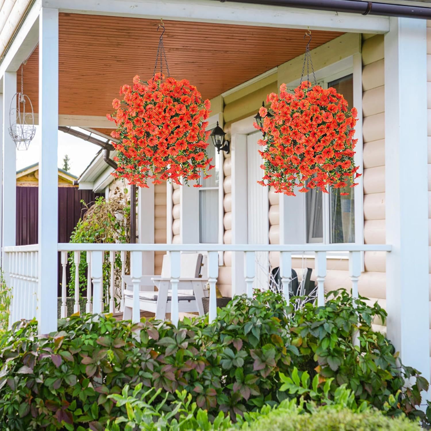 Perfect home garden decoration – 🌺hanging morning glory