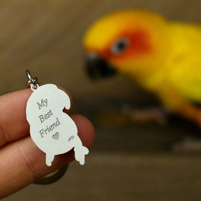 🐶💖 50% reducere 💑Colier/breloc personalizat cu fotografie pentru animale de companie