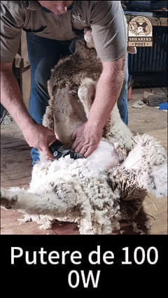 1728646112372033.gif 1000W.gif