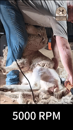 1728646135825175.gif 5000RPM.gif