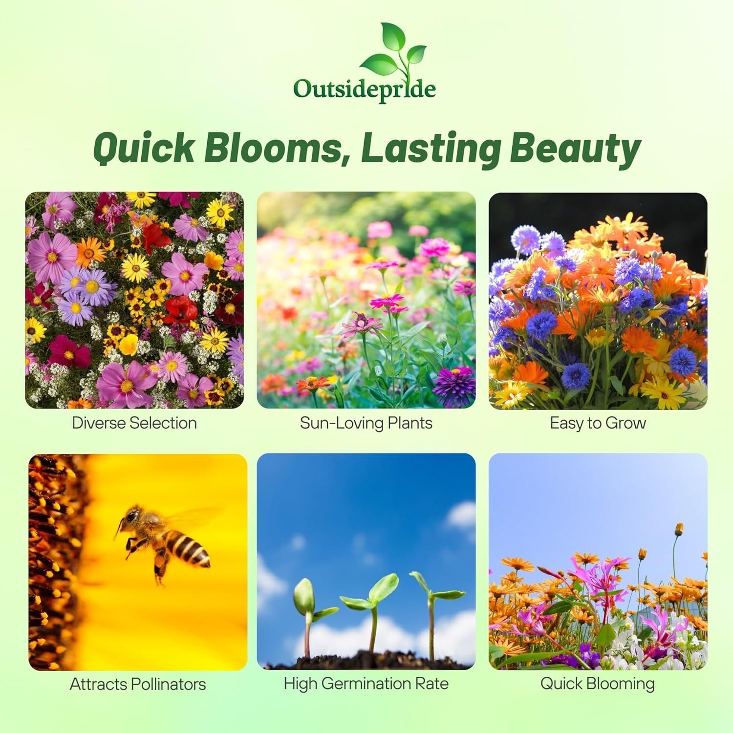 🔥 Ultima zi de reduceri💝 Semințe de flori perene amestecate - Peste 60 de tipuri amestecate