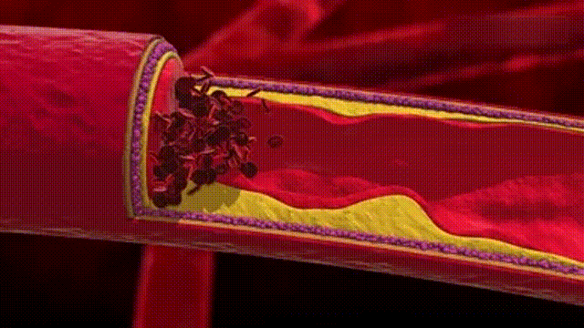 1704360501959370.gif DM_20240104161645_012.gif