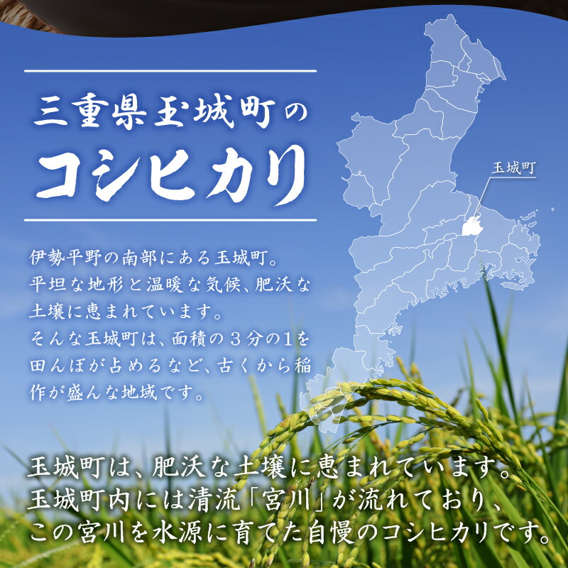 米 新米 こめ コシヒカリ こしひかり 白米 お米 令和7年三重県 玉城町 国産 玉城ふれあい農園