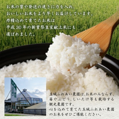 米 新米 こめ コシヒカリ こしひかり 白米 お米 令和7年三重県 玉城町 国産 玉城ふれあい農園