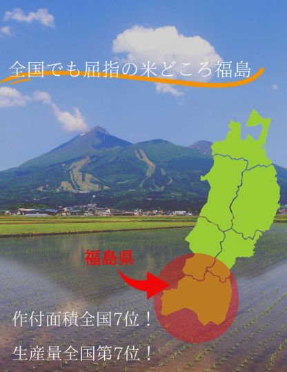福島県産コシヒカリ 10kg(5kg×2袋) 20kg(5kg×4袋) 30kg(5kg×6袋) 令和7年産 送料無料 白米 10kg 白米 20kg 白米 30kg 米 お米 (沖縄・離島別途送料追加)