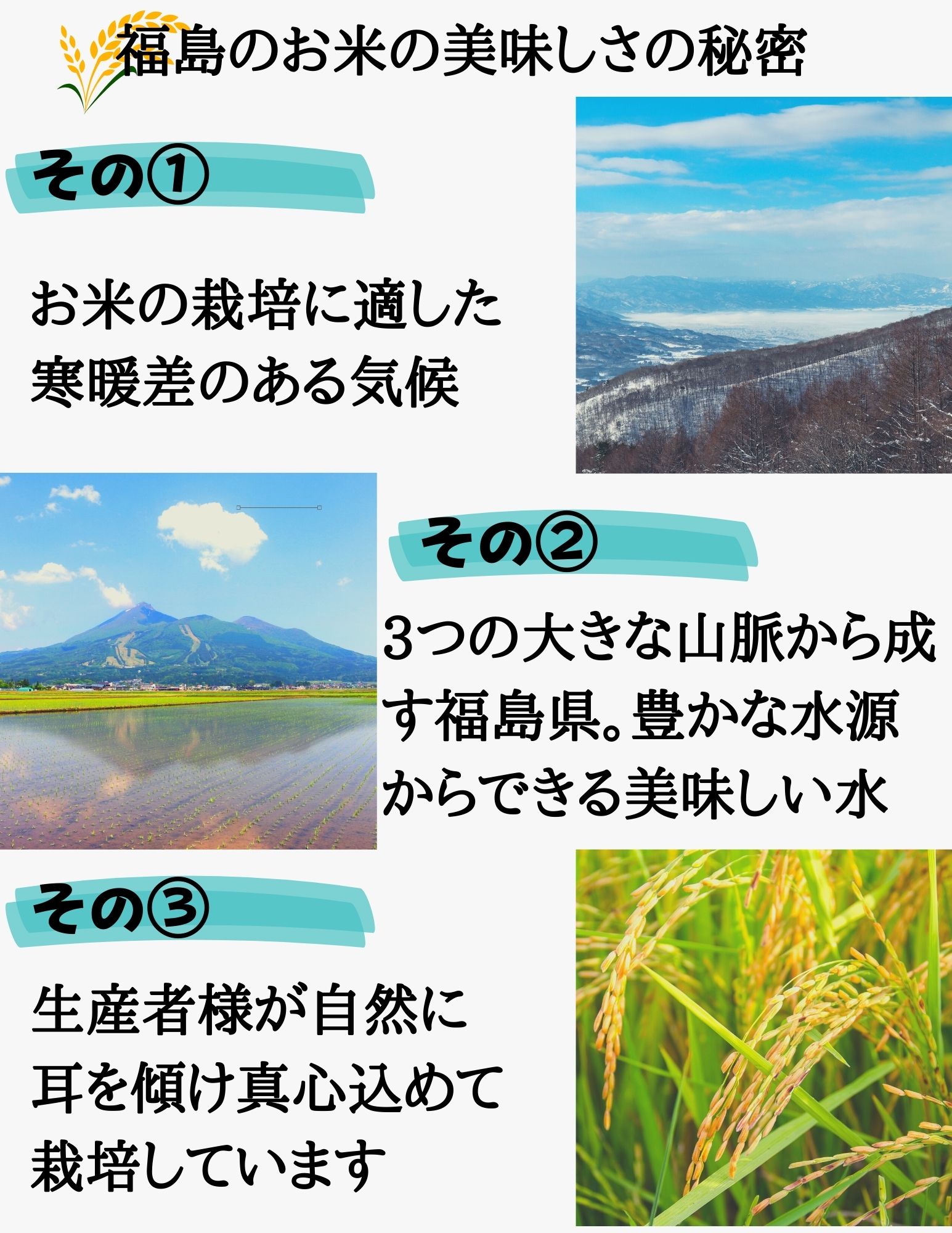 福島県産コシヒカリ 10kg(5kg×2袋) 20kg(5kg×4袋) 30kg(5kg×6袋) 令和7年産 送料無料 白米 10kg 白米 20kg 白米 30kg 米 お米 (沖縄・離島別途送料追加)