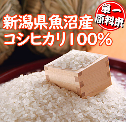 精米仕立て☆食味分析80点以上☆五ツ星お米マイスター厳選米 令和7年産 新潟 魚沼産 コシヒカリ 5kg 白米 精米 ☆お米 ギフト 母の日 米 新潟 コシヒカリ 魚沼産 新潟 魚沼 コシヒカリ お米 ギフト 産地直送 低温倉庫管理 米 お歳暮 米 ギフト