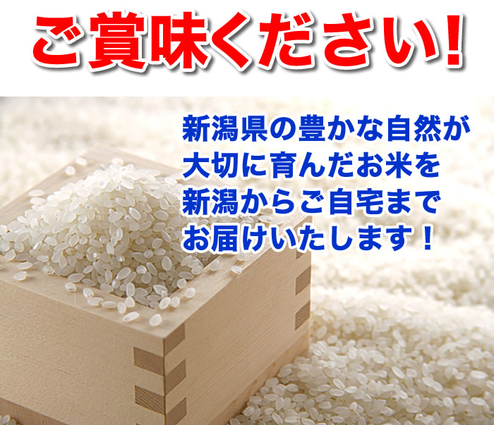 精米仕立て☆食味分析80点以上☆五ツ星お米マイスター厳選米 令和7年産 新潟 魚沼産 コシヒカリ 5kg 白米 精米 ☆お米 ギフト 母の日 米 新潟 コシヒカリ 魚沼産 新潟 魚沼 コシヒカリ お米 ギフト 産地直送 低温倉庫管理 米 お歳暮 米 ギフト