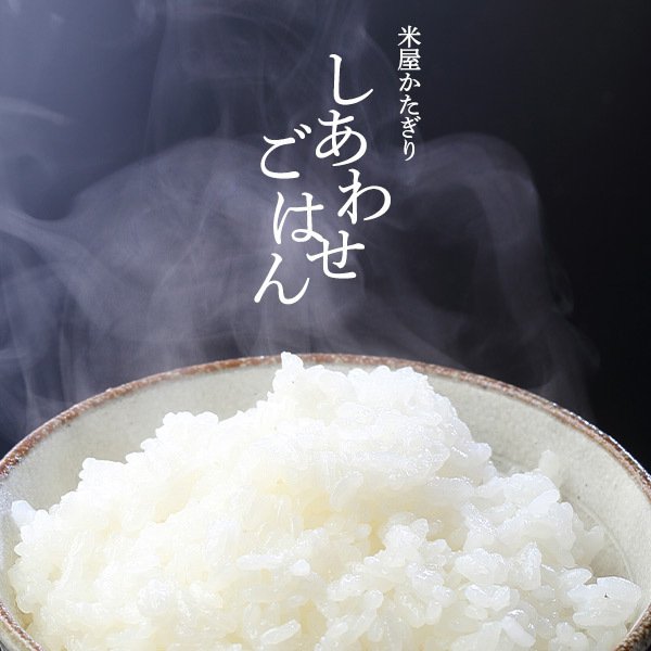 米 10kg コシヒカリ 新潟 令和7年産 新潟産 お米 こしひかり 5kg×2 白米 精米 単一原料 美味しいお米 おいしいお米 美味しい米 新潟県産 おいしい米 ご飯 通販 産直 直送 新潟県産コシヒカリ コメ 10キロ 食品 ごはん 甘み粘り お取り寄せ