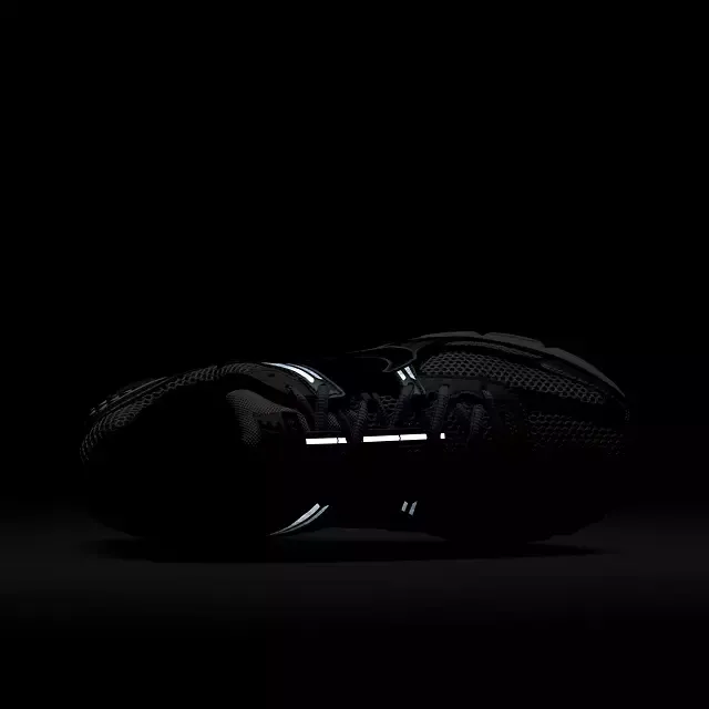 Nikhjgke Zoom Vomero 5