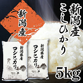 米 5kg コシヒカリ 新潟 令和7年産 新潟産 お米 こしひかり 5kg 白米 精米 単一原料 美味しいお米 おいしいお米 美味しい米 新潟県産 おいしい米 ご飯 通販 産直 直送 新潟県産コシヒカリ コメ 10キロ 食品 ごはん 甘み粘り お取り寄せ