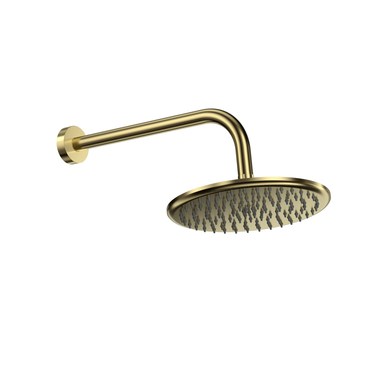 Round Shower Arm & Head Brushed brass