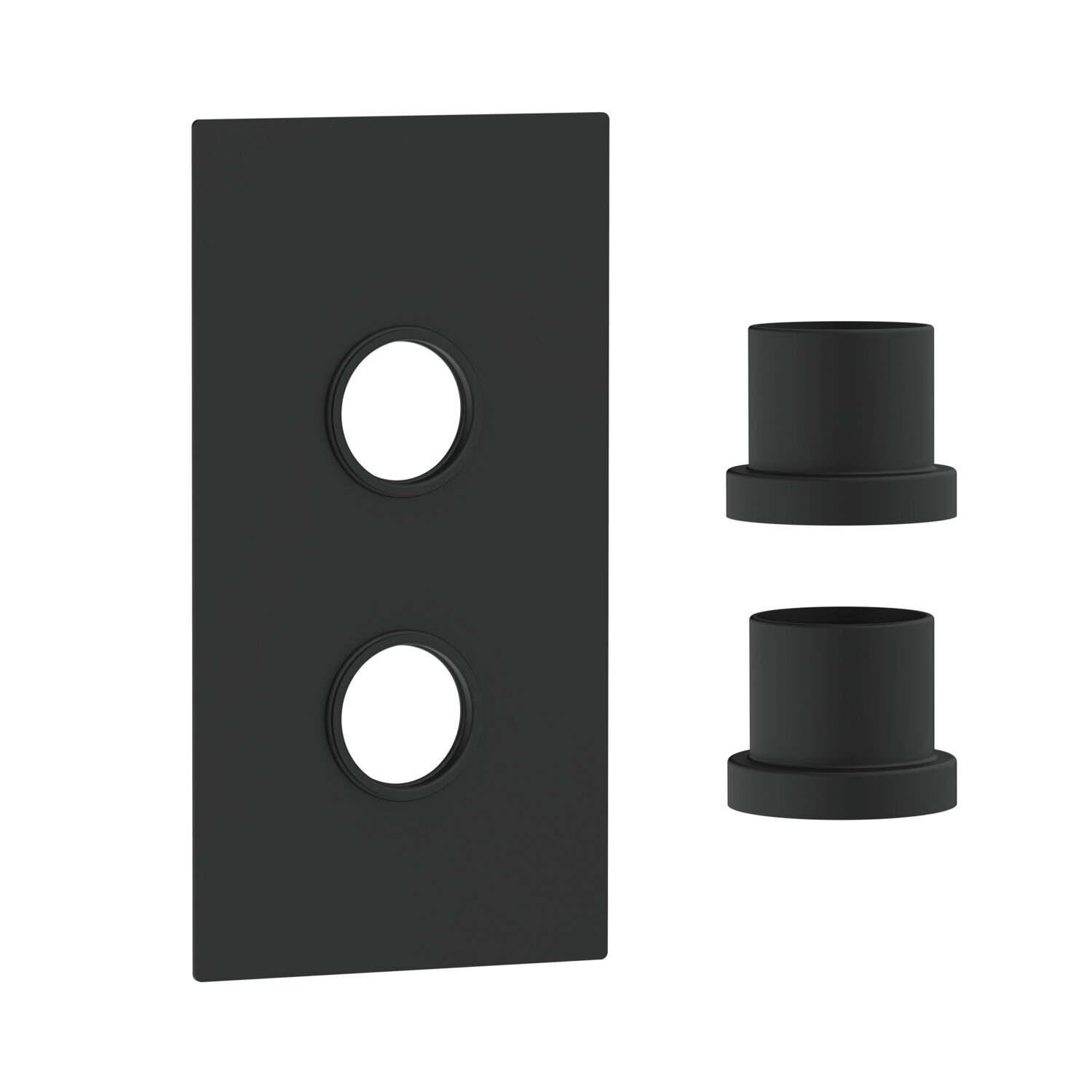 Concealed Plate with Sleeves (2 Outlet) Black