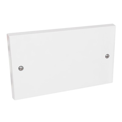 Blank Plate 2 Gang