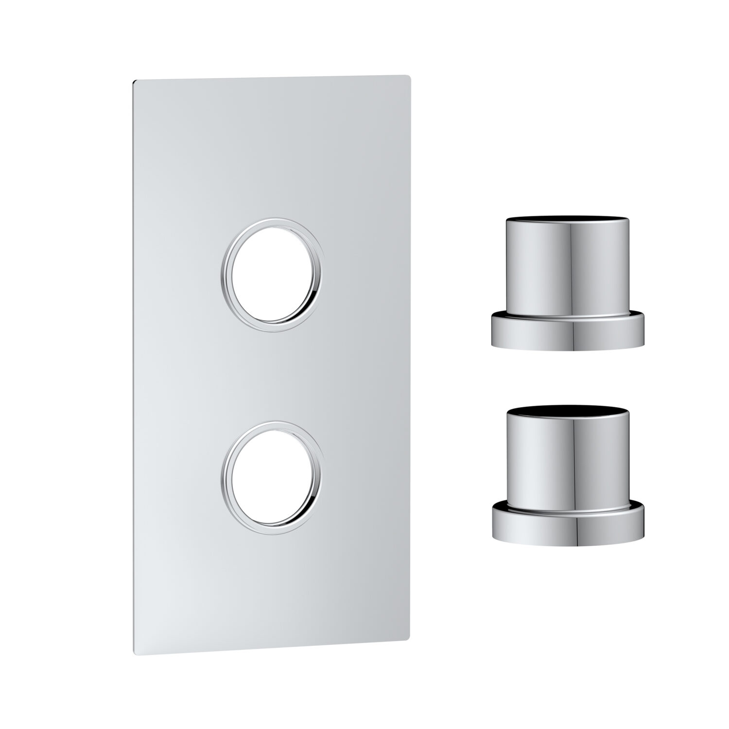 Concealed Plate with Sleeves (2 Outlet) Chrome
