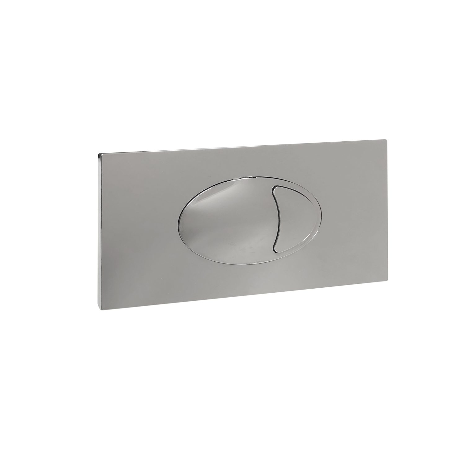 Large Chrome Dual Flush Plate