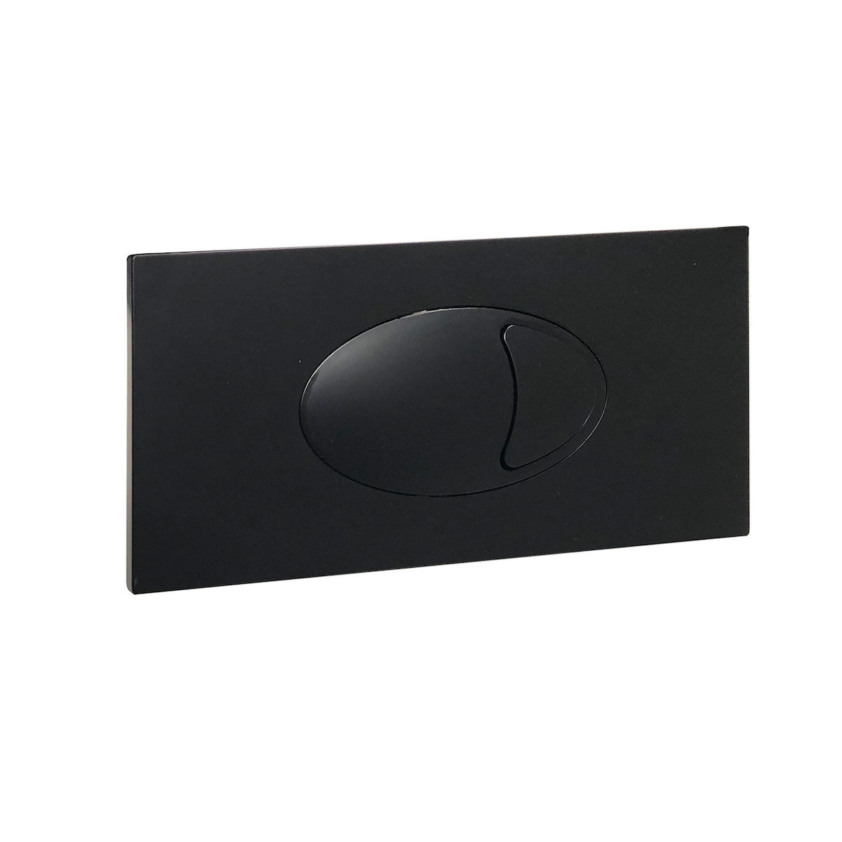 Large Black Dual Flush Plate