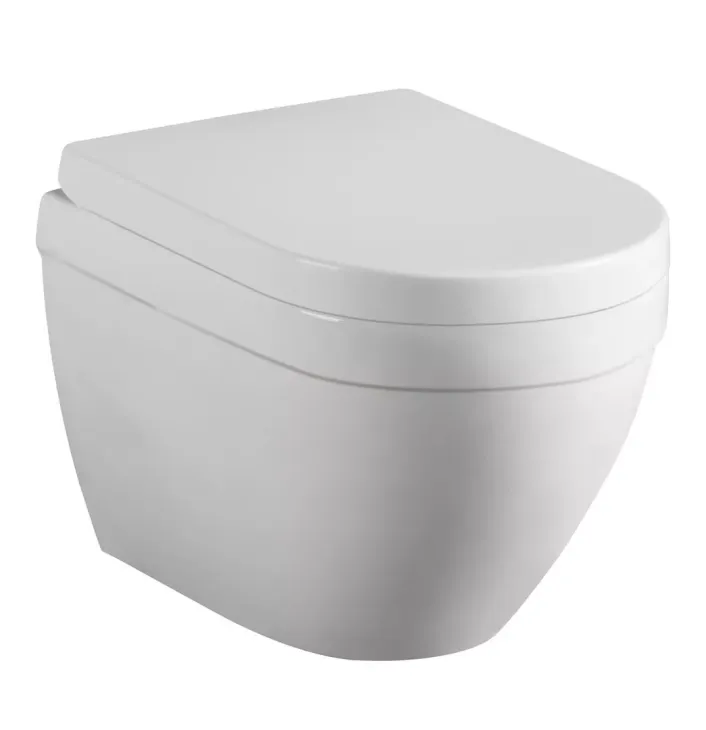 Eastbrook Dura Wall Hung WC Pan with Fixings - White