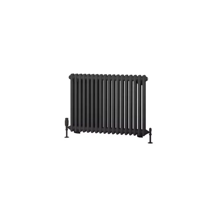 Eastbrook Rivassa 2 Column Rad. 600x833mm Matt Anthracite