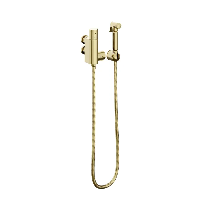hib. Handheld Bidet with Thermostatic Valve - Brushed Brass