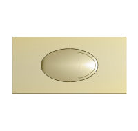 Aurum™ Grande Dual Flush Plate & Access Panel – Brass – 240 × 120mm