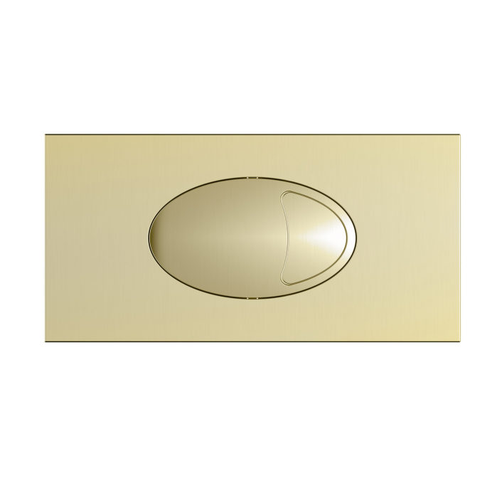 Aurum™ Grande Dual Flush Plate & Access Panel – Brass – 240 × 120mm