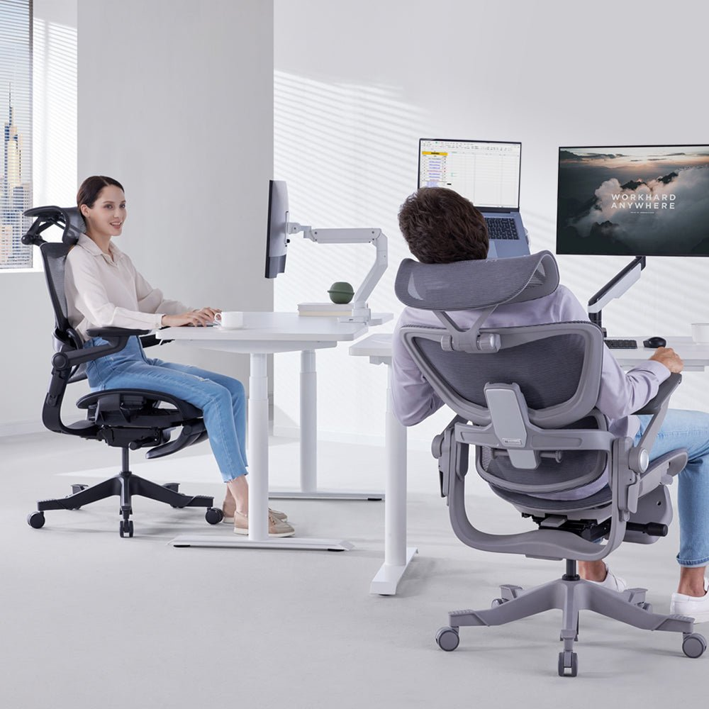 2024 H1 Pro V2 Ergonomic Office Chair