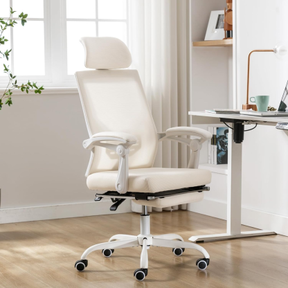 Mesh Ergonomic Office Chair