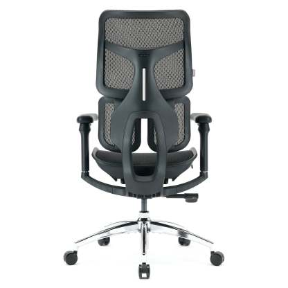 S100 Ergonomic Office Chair with Double Dynamic Lumbar Support