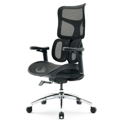 S100 Ergonomic Office Chair with Double Dynamic Lumbar Support