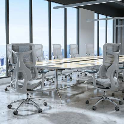 S100 Ergonomic Office Chair with Double Dynamic Lumbar Support