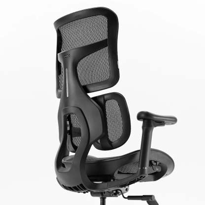S100 Ergonomic Office Chair with Double Dynamic Lumbar Support