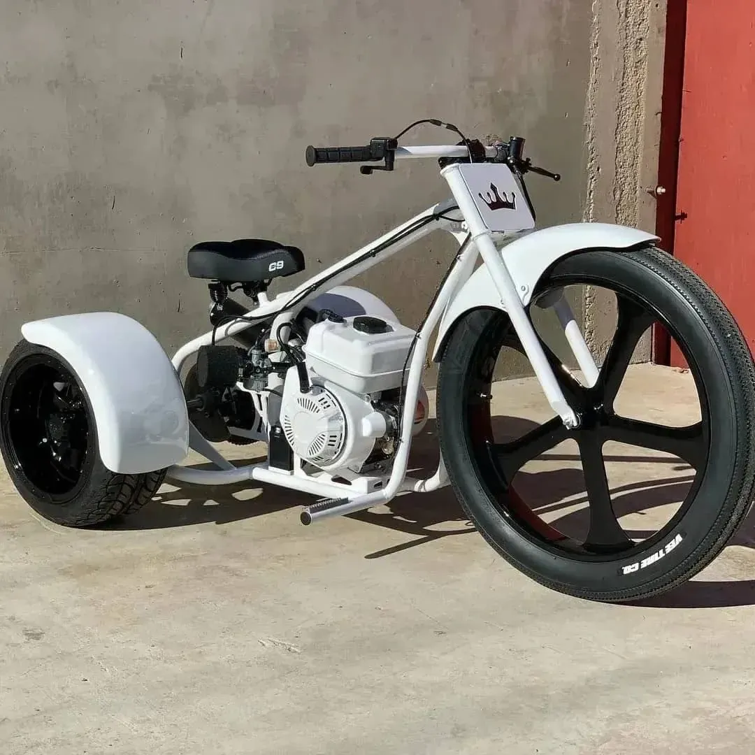 2025  New Mini Trike