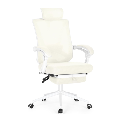 2024 Lemen Ergonomic Chair