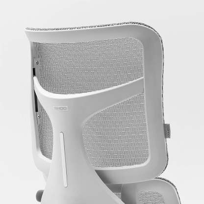 S100 Ergonomic Office Chair with Double Dynamic Lumbar Support