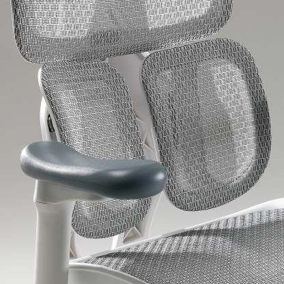 S100 Ergonomic Office Chair with Double Dynamic Lumbar Support