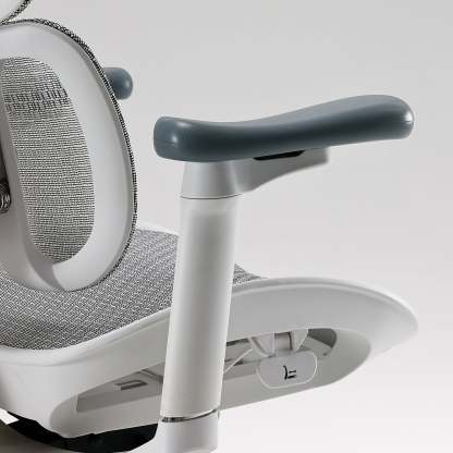S100 Ergonomic Office Chair with Double Dynamic Lumbar Support